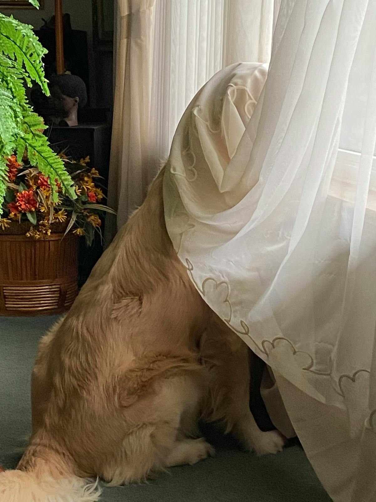 Glossaire Umrah — Calligraphie islamique - Glossaire des termes de l'Umrah